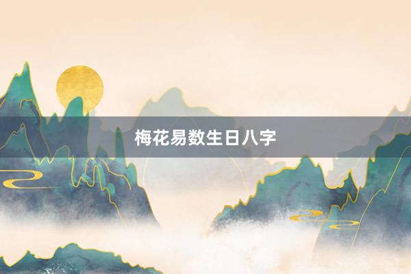 梅花易数生日八字
