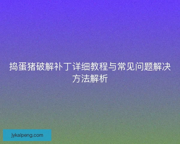 捣蛋猪破解补丁详细教程与常见问题解决方法解析