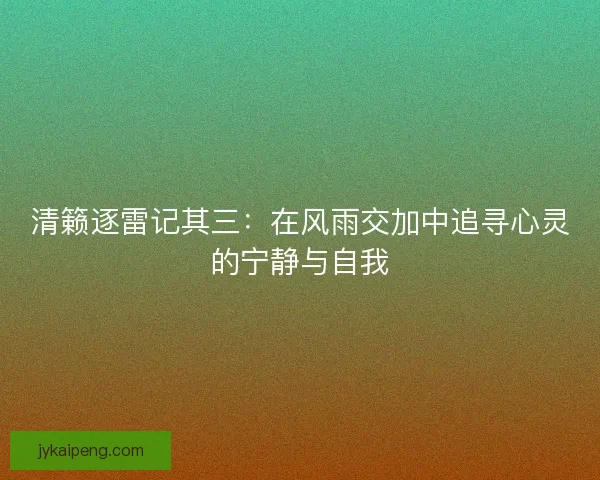 清籁逐雷记其三：在风雨交加中追寻心灵的宁静与自我