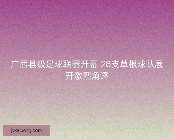 广西县级足球联赛开幕 28支草根球队展开激烈角逐 广西县级足球联赛开幕 28支草根球队展开激烈角逐